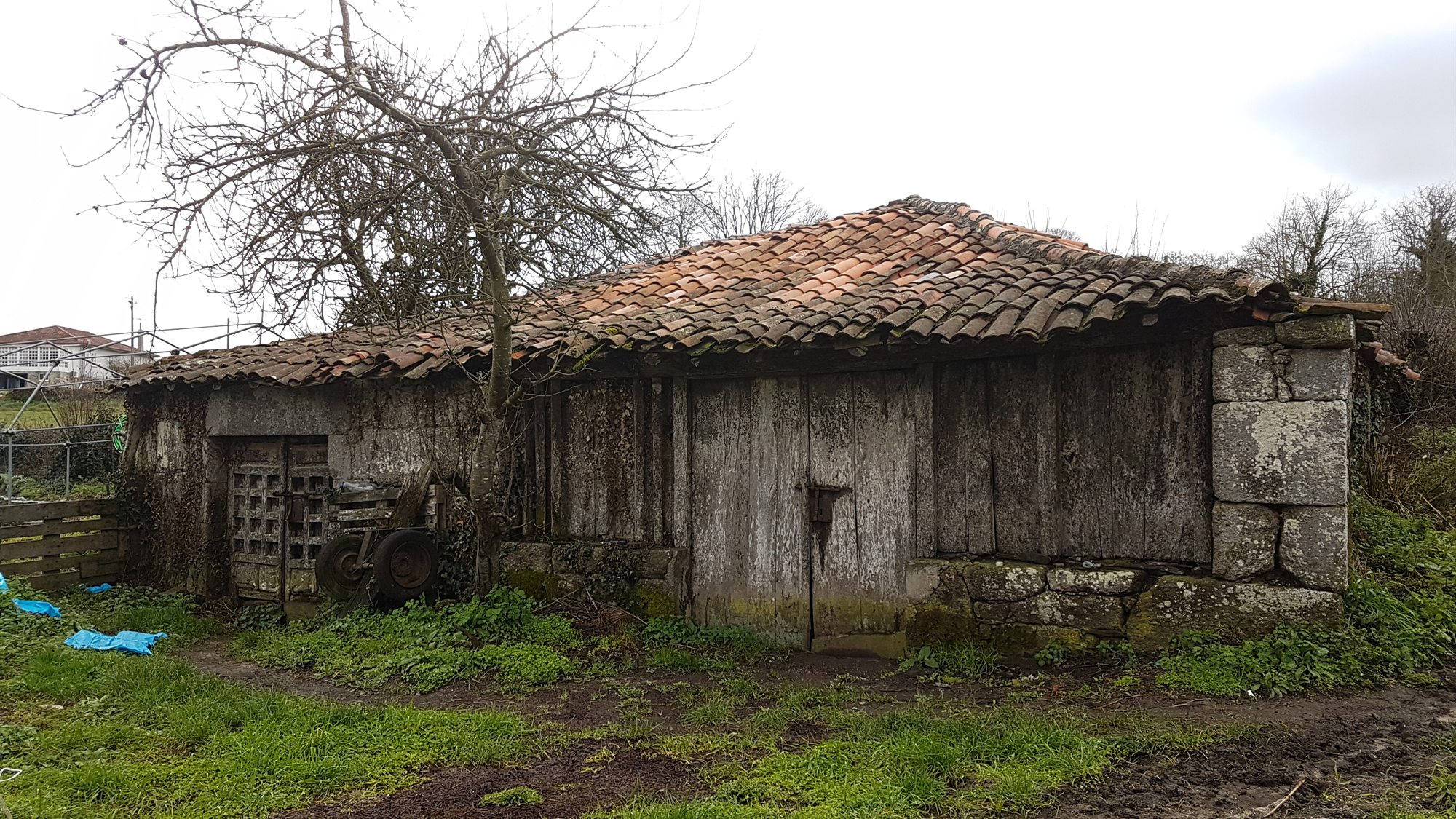 Adega da casa