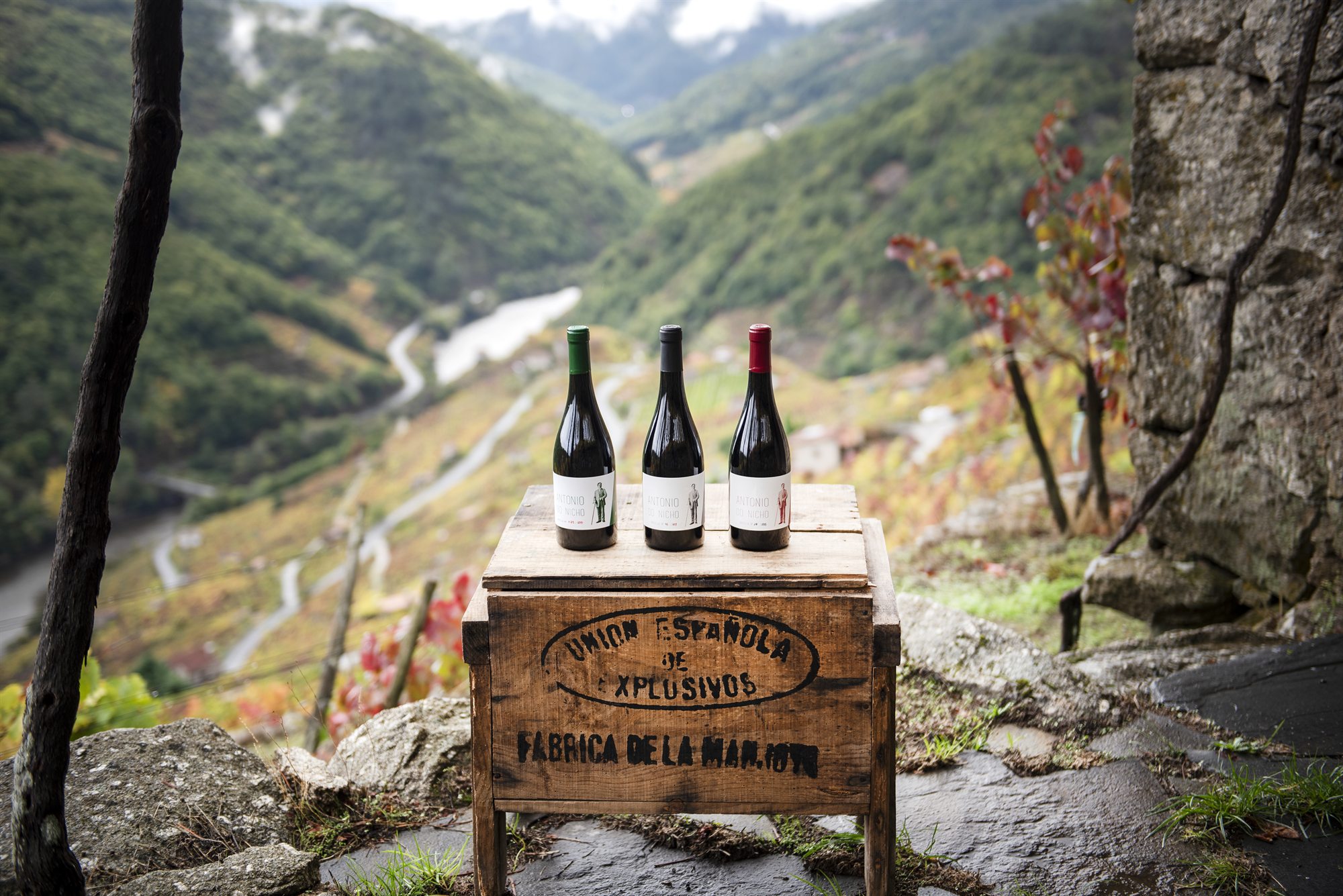 Elaboraci&oacute;n del vino