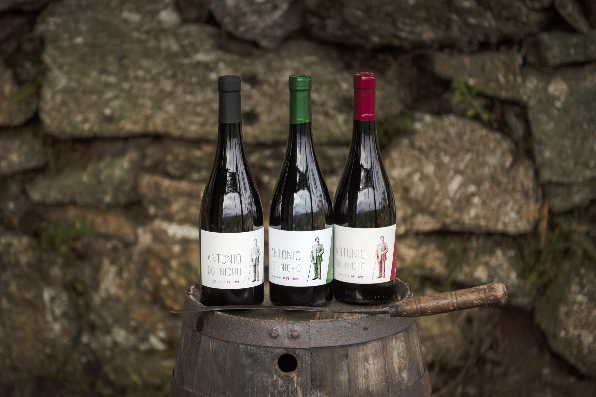 Vino Antonio do Nicho