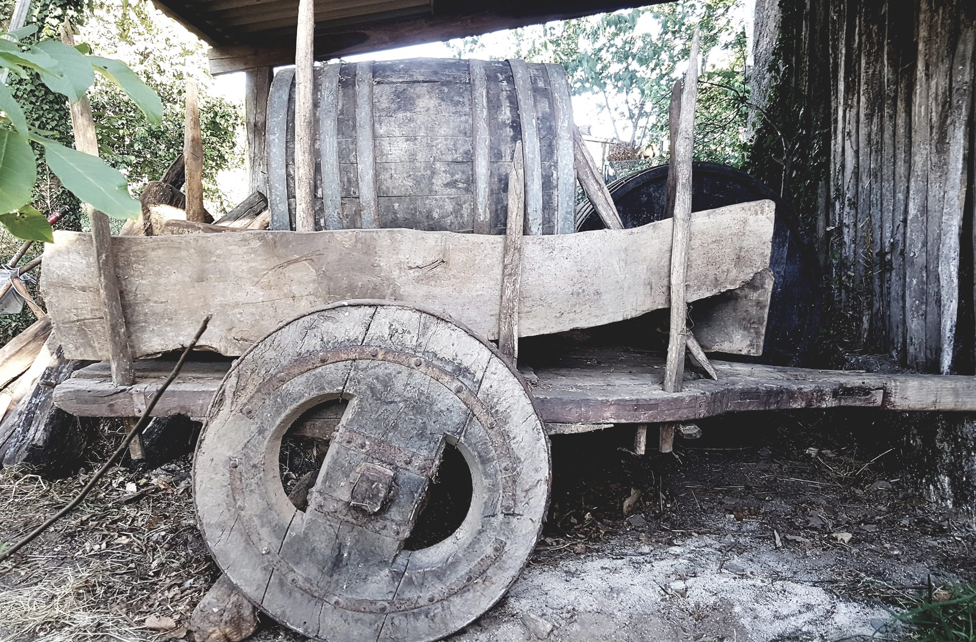 La bodega por dentro
