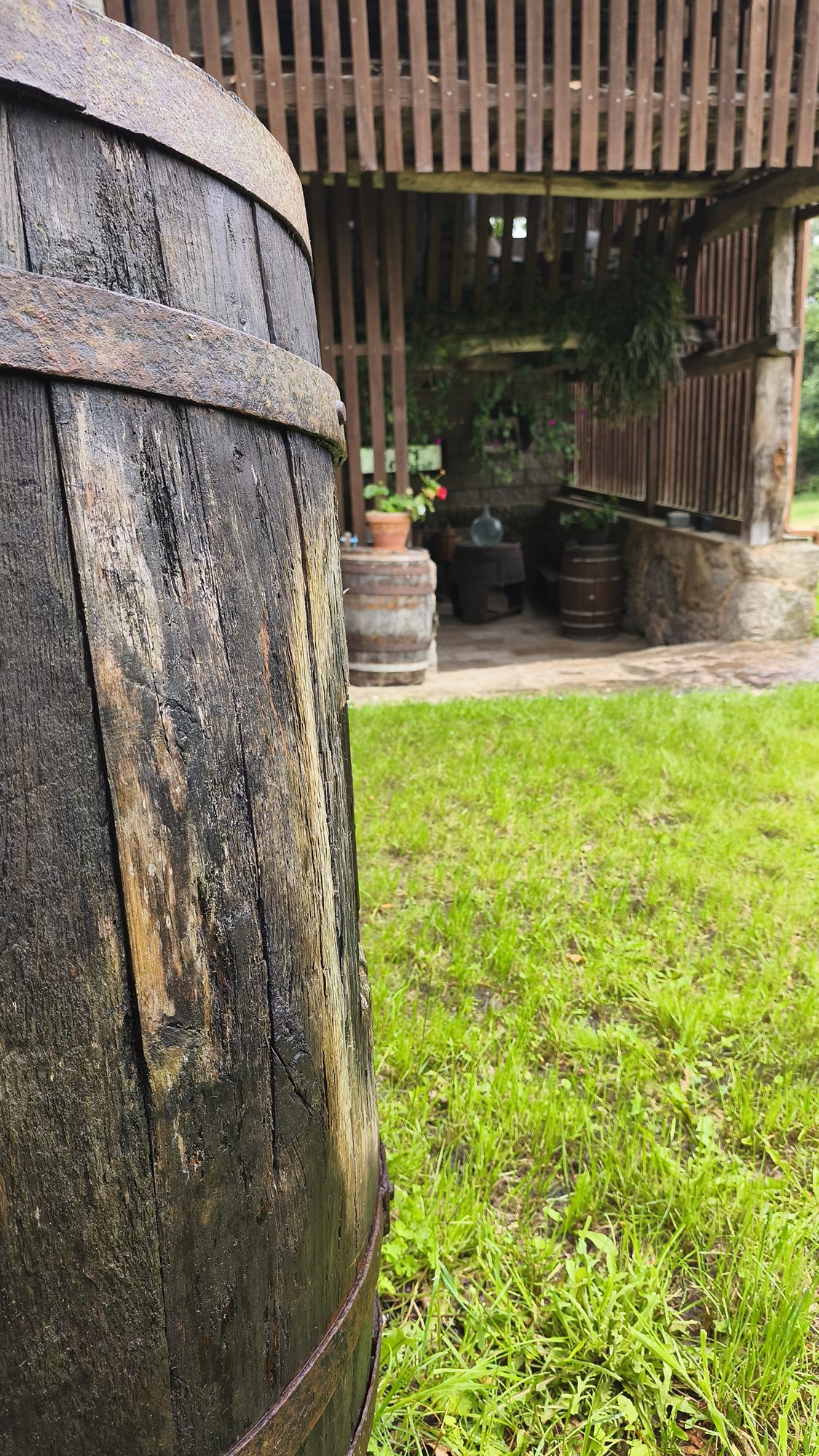 Trabajos tradicionales en la bodega